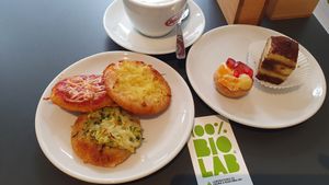  at 100% Bio Lab in Rome