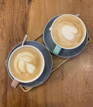Oat lattes  at Antigua Specialty Coffee in Tirana