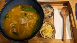 Spicy udon noodle soup at Mili in Vienna