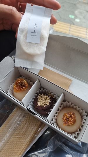 miso/fig and black sesame at Mitomi - 実と美 in Osaka