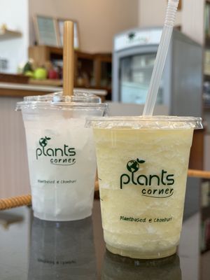 Pineapple smoothie and coconut water  at Plants Corner in Chonburi