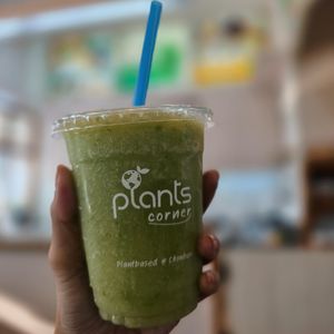  at Plants Corner in Chonburi