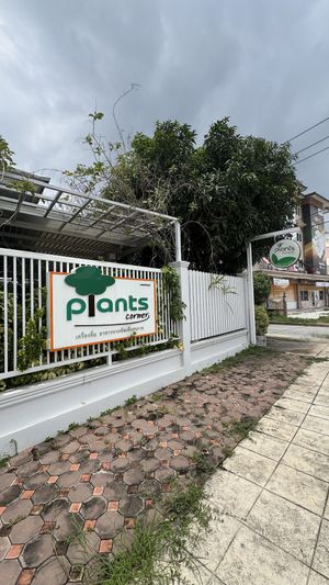   at Plants Corner in Chonburi
