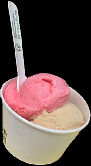 Hazelnut vegan ice cream and raspberry sorbet at Basement Gelato Co in Edinburgh