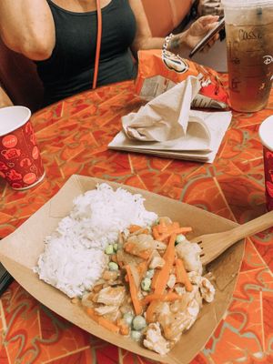 Vegan korma at epcot at Walt Disney World - Sunshine Seasons in Lake Buena Vista