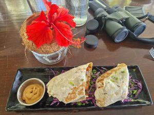  at BOA Café & Coworking Space in Puerto Viejo De Talamanca