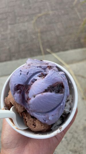   at KOKOS Ice Cream in Sister Bay