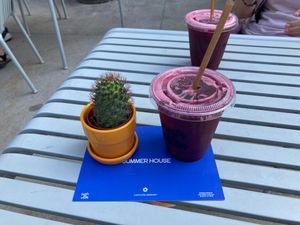 Ginger/cucumber/sorrel drink, on set of tables in front of truck at Aunts et Uncles: Summer House in Brooklyn