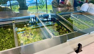   at Crisp & Green in Rochester