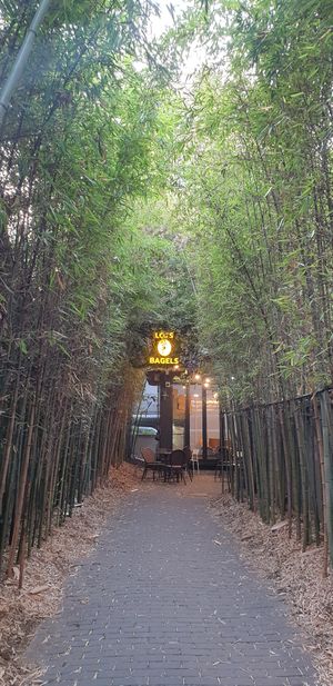 Bamboo Garden Entrance at New York Lots O Bagels in Seoul