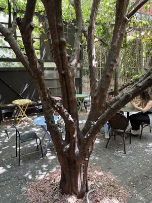   at New York Lots O Bagels in Seoul