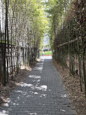   at New York Lots O Bagels in Seoul