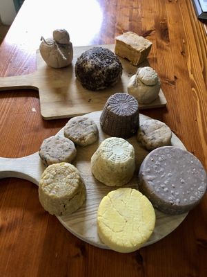 Vegan cheese  #Veganuary at Home Restaurant Ionontimangio in Sassari