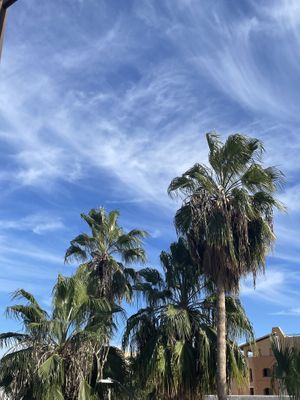   at Everest Curry House in Cabo San Lucas