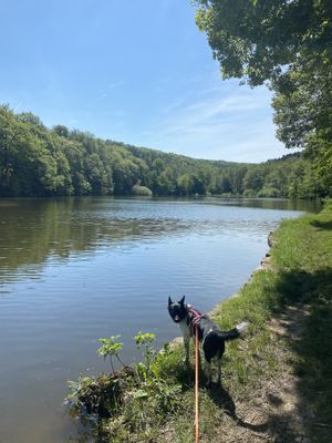   at Rübchen Vegan BnB & Retreat in Euskirchen