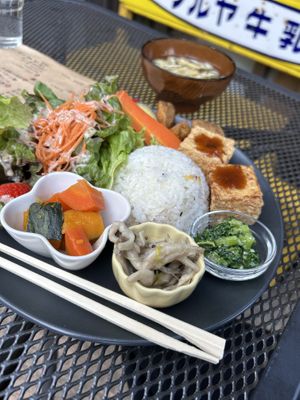 The one vegan plate   at Retro Restaurant WAKA in Narita