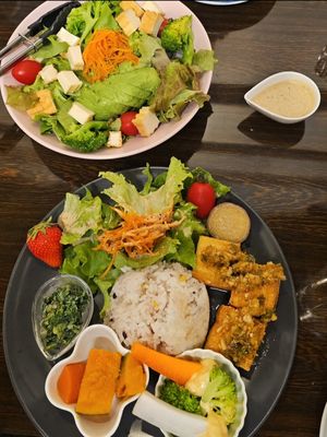 Vegan Plate with Avocado salad at Retro Restaurant WAKA in Narita