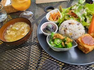 vegan plate at Retro Restaurant WAKA in Narita
