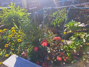  at Retro Restaurant WAKA in Narita