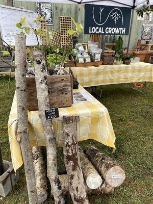 Mushroom logs  at MDI Community Market in Bar Harbor