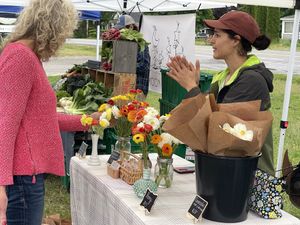 Local floristt  at MDI Community Market in Bar Harbor