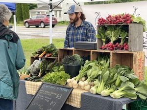 Certified organic  at MDI Community Market in Bar Harbor