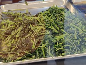  at Heavenly Taste Vegetarian - 天味素食 in Central Singapore