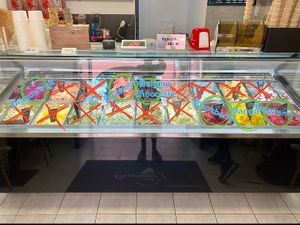 The vegan options  at Gelateria Cremino in Ceske Budejovice