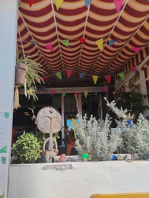  at Estamos Sembrados in La Herradura