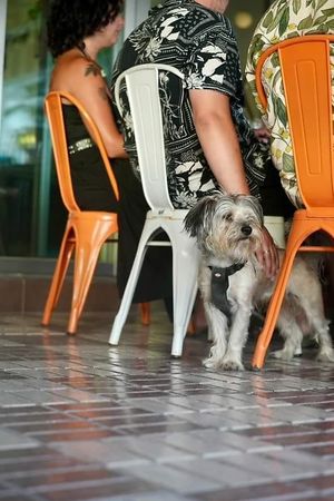  at Estamos Sembrados in La Herradura