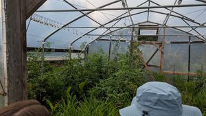  at La Colina Linda B and B Farm in Cobden