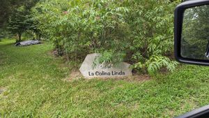  at La Colina Linda B and B Farm in Cobden