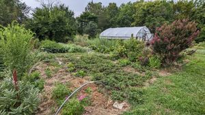  at La Colina Linda B and B Farm in Cobden