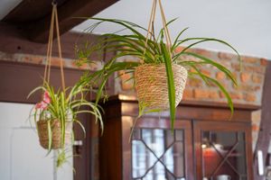  at Café Mau Mau in Nideggen