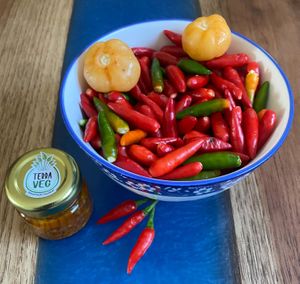  at Terraveg in Sao Paulo