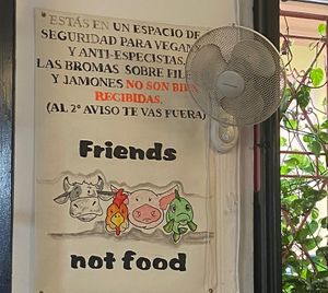   at La Mandragora in Valencia