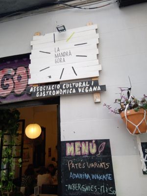  at La Mandragora in Valencia