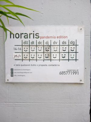  at La Mandragora in Valencia