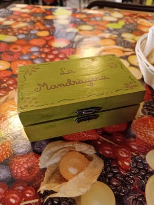 Box where you can put money at La Mandragora in Valencia