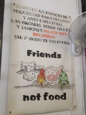  at La Mandragora in Valencia