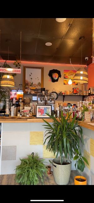 AMAZING pizza!! Both the regular and gf (cauliflower) crust are vegan. They also have vegan mozzarella, pepperoni, and chorizo, in addition to endless vegetable toppings.  at Bliss Beach in Daytona Beach Shores