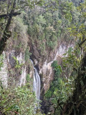 Walk at Reserva Los Nogales in Macizo De Penas Blancas