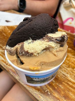 Haben nicht nur veganes Fruchteis, sondern auch Haselnuss, Peanut und Dunkle Schokolade ohne Milch  at Antica Gelateria Fiorentina in Florence