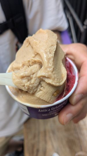 Noisette et fruits des bois at Antica Gelateria Fiorentina in Florence