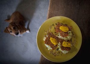 La cena di Pitagora at La Cena di Pitagora in Ponte Nizza