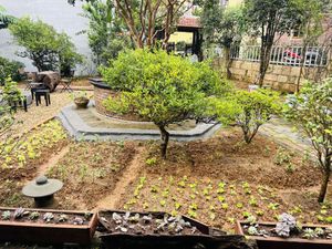   at SU - Sapa Vegetarian Restaurant in Sapa