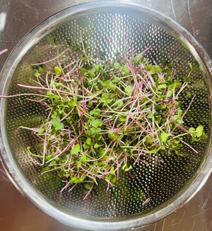   at SU - Sapa Vegetarian Restaurant in Sapa