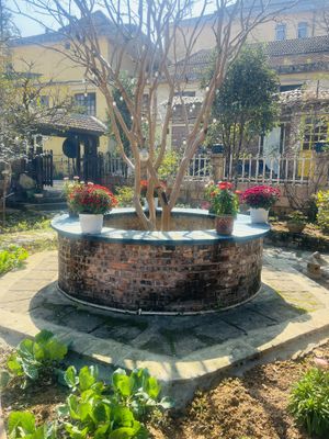   at SU - Sapa Vegetarian Restaurant in Sapa