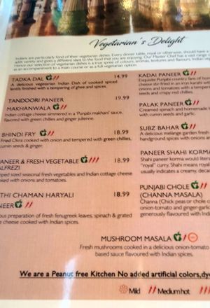Sample vegetarian menu items at Mirch Dhamaka in Herndon