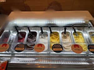 More vegan flavours for 2025!   at Tante Lotte - Eis & Tamtam in Koblenz